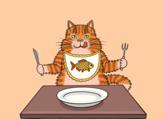 Анекдот про кота, який їжу випрошував