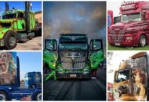 Вантажна супермощь і крапелька витребеньок