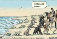 15 картинок про те, як працює еволюція