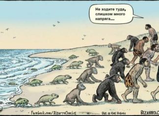 15 картинок про те, як працює еволюція