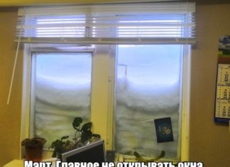 Підбірка прикольних картинок