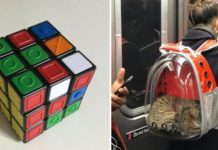 33 рішення, до яких раніше ніхто не додумувався