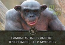 TOP 10 фактів про які ви не знали