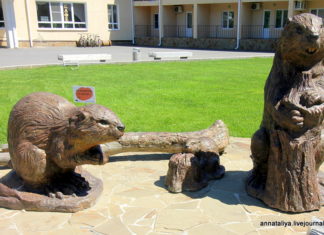 Навіщо священики їдять бобрів?..