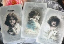 Ретро-фото з котиками