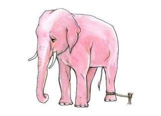 Надихаючі притчі