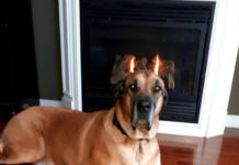 17 геніальних фотографій, на яких у вдалий момент зупинився час