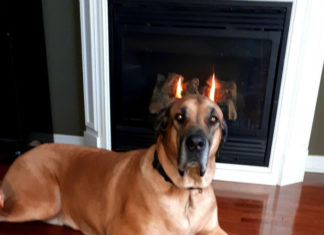 17 геніальних фотографій, на яких у вдалий момент зупинився час