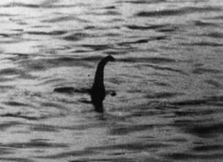 Легенда про Нессі