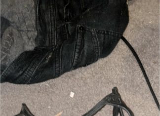 Що за штуку я знайшов?: Прості відповіді на складні питання