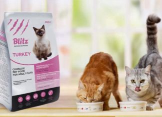Корм для кішок Blitz: огляд, особливості, види та відгуки