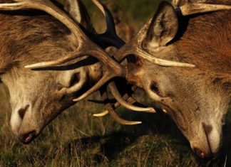 6 природних чудес, які страшніше будь-якого фільму жахів