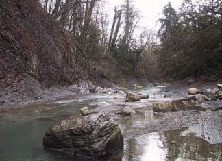 Пристрасть до риболовлі від мами
