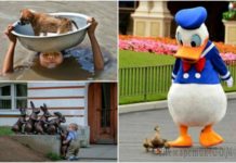 19 умилительных фотографій, які піднімуть настрій і змусять посміхнутися