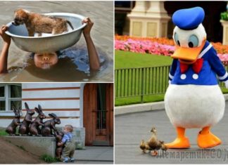 19 умилительных фотографій, які піднімуть настрій і змусять посміхнутися