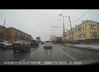 Невже всі вони так поспішають потрапити під колеса?