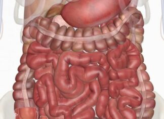 Забитий кишечник: симптоми і лікування