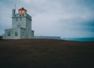 Королева нічних вогнів