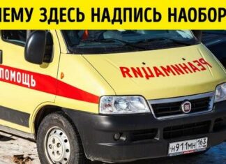 12 «чому», відповіді на які ви хотіли б знати, але забували погуглити