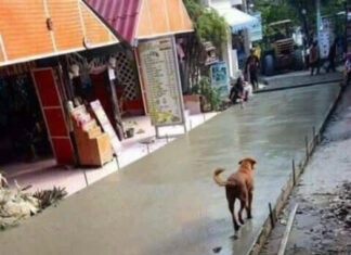 17 неабияких випадків, коли все йде з рук геть погано