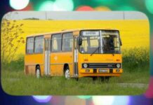 Відео: чому на табличці аварійного виходу частіше написано «запасний» , а не » запасний»