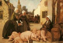 Свині, коти і гусениці, які сиділи у в’язниці: як в середні століття судили тварин