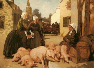 Свині, коти і гусениці, які сиділи у в’язниці: як в середні століття судили тварин