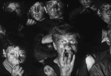 ” у кішки чотири ноги…”: тест по фільму” республіка шкід “