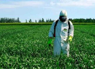 Як фермери борються зі шкідниками і який спосіб найкращий?