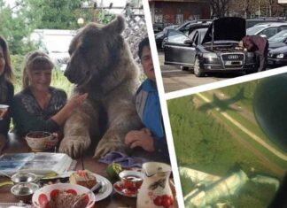 15 фото зі звичайного життя російської людини, які шокують будь-якого іноземця