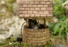 17 фото чудесного мишачого містечка, який створив для гризунів фотограф у своєму дворі