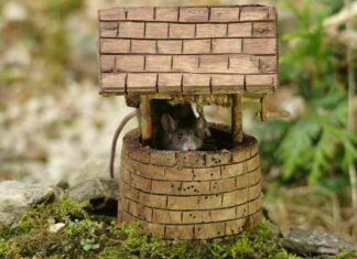 17 фото чудесного мишачого містечка, який створив для гризунів фотограф у своєму дворі