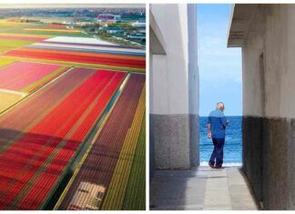 На радість перфекціоністам: 22 фото, на яких прекрасно все