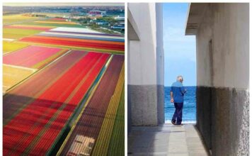 На радість перфекціоністам: 22 фото, на яких прекрасно все