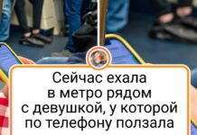 18 попутників, які перетворили нудну поїздку в подію, про яку потрібно всім розповісти