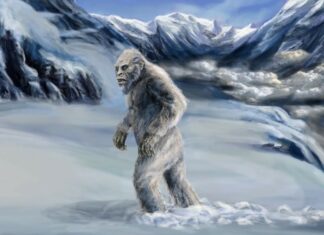 Мисливці за йєті (5 фото + 1 відео)