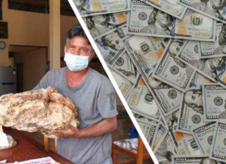 Бідний рибалка з невеликого села в таїланді знайшов цей камінь і тепер він мільйонер і більше ніколи не повернеться на колишню роботу