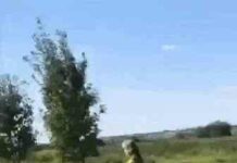 Гифки дня (18 гіф)