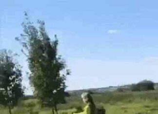 Гифки дня (18 гіф)