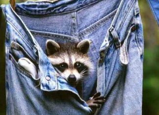 Хороша новина від експертів: ваші джинси прати не потрібно!