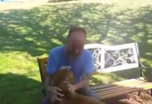 Зворушлива реакція тварин, які зустрілися з господарями через довгий час