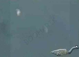 Гифки (15 гіф)