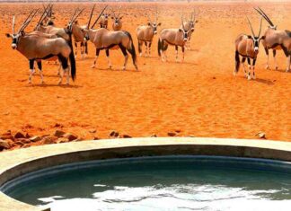 Альберт пірпойнт-останній кат імперії