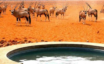 Альберт пірпойнт-останній кат імперії