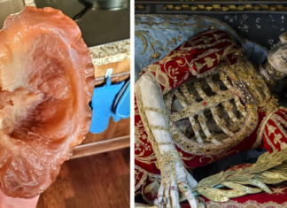 34 фото моторошно цікавих штучок, якими поділилися користувачі мережі (35 фото)