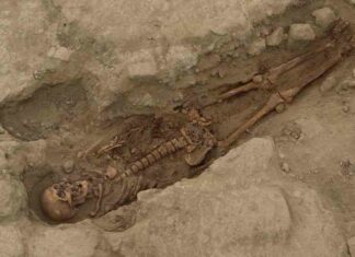 Альберт пірпойнт-останній кат імперії