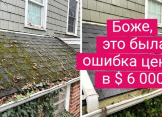16 чистюль, які отдраілі те, на що інші дивляться з неприхованою гидливістю