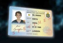 Монети британії-пазл, а ейфелева вежа взимку нижче: 35 речей, які мало хто знає