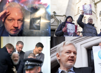 Викривач сша: історія судів і правди ассанжа