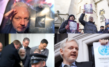 Викривач сша: історія судів і правди ассанжа